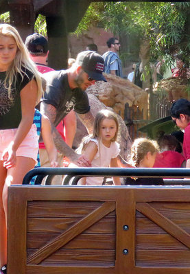 無奈夜長人不寐，數(shù)聲和月到簾櫳。